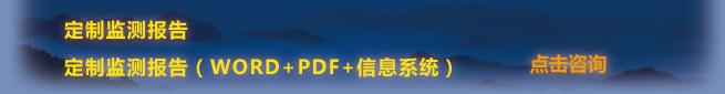 定制監測報告
